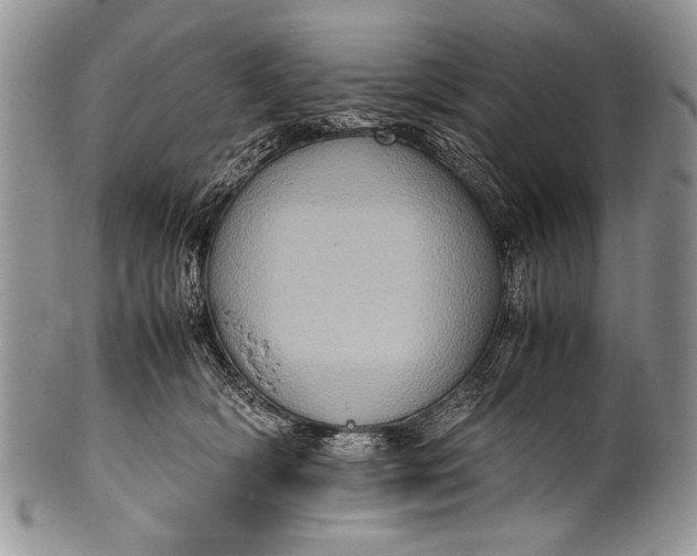 X0000100350418200806201546