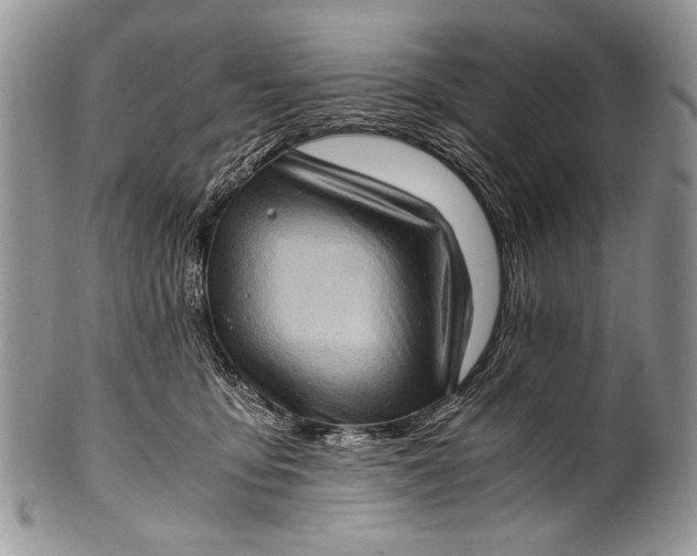 X0000100350419200806201546