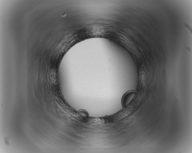 X0000100350421200806201546