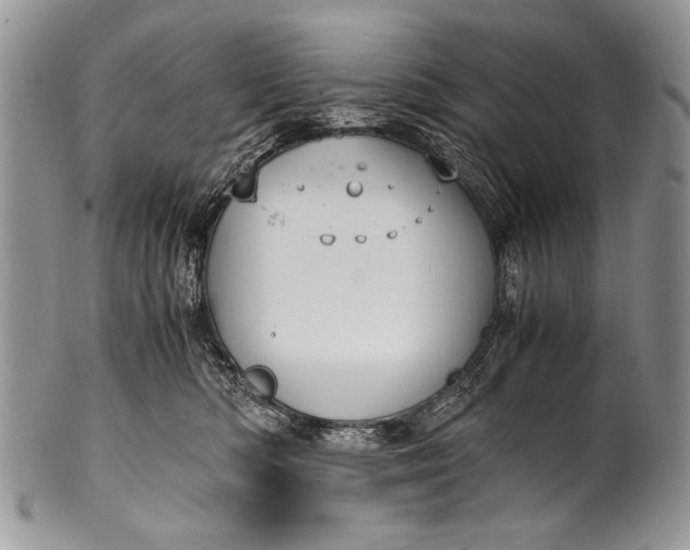 X0000100350422200806201546