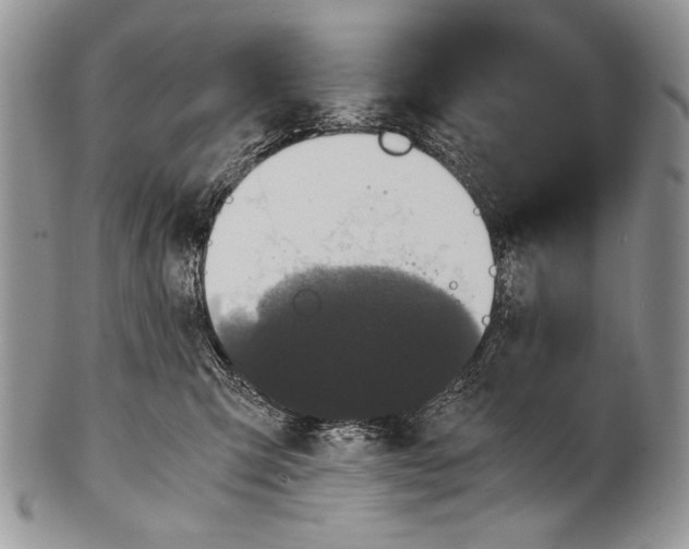 X0000100350423200806201546
