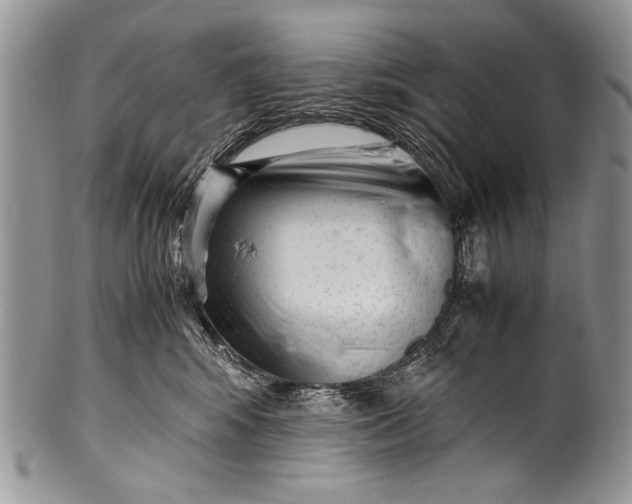 X0000100350424200806201546