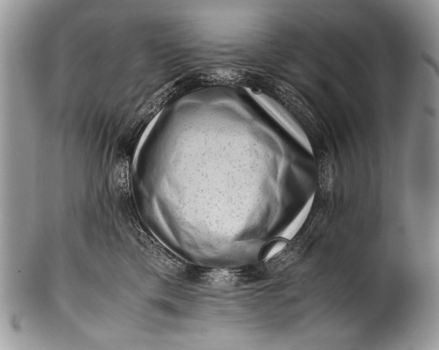 X0000100350425200806201546