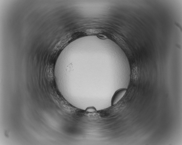 X0000100350426200806201546