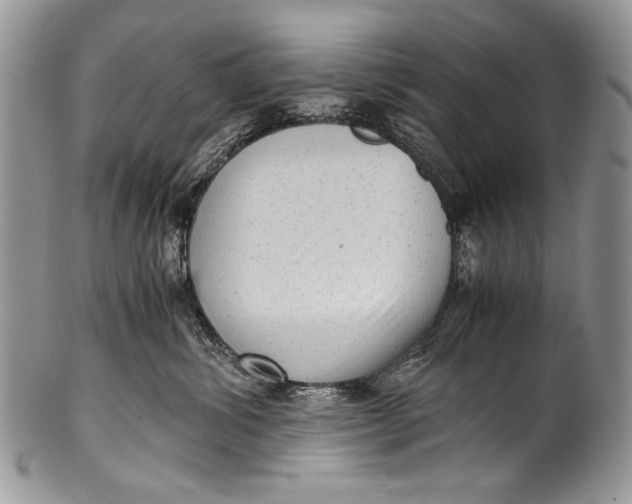 X0000100350428200806201546