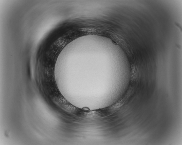X0000100350430200806201546
