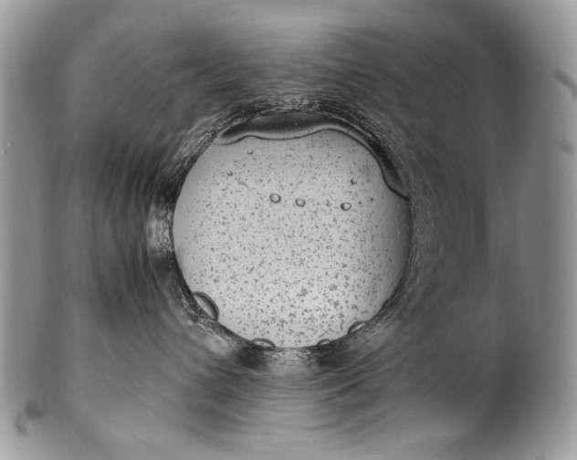 X0000100350432200806201546