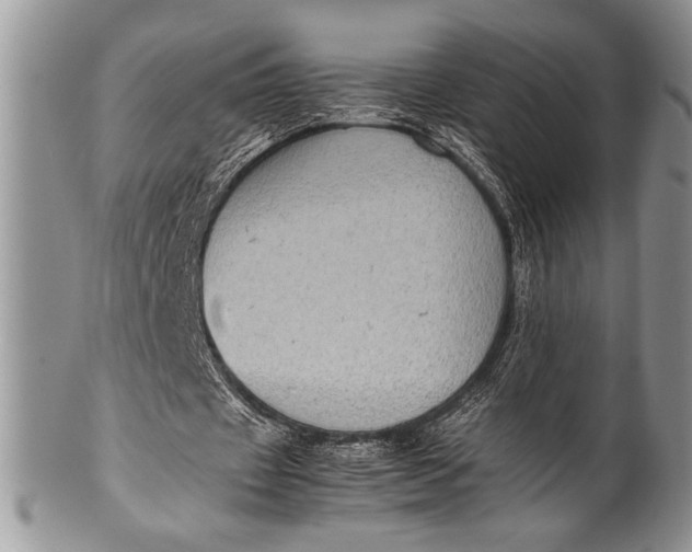 X0000100350433200806201545