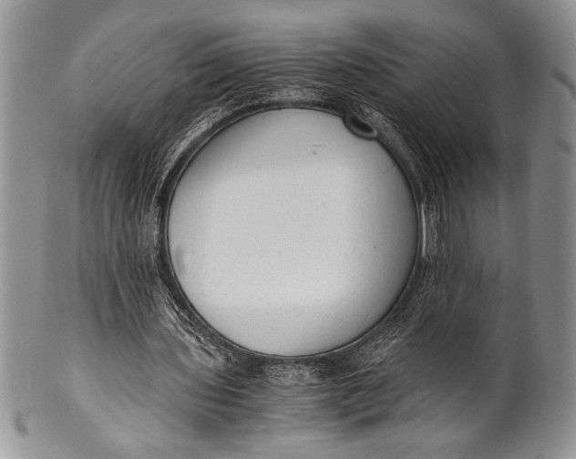 X0000100350435200806201545