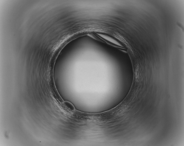 X0000100350436200806201545