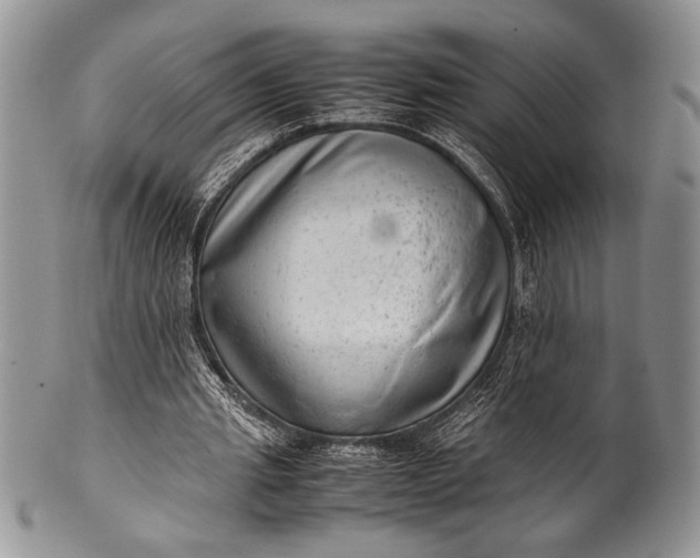 X0000100350437200806201545