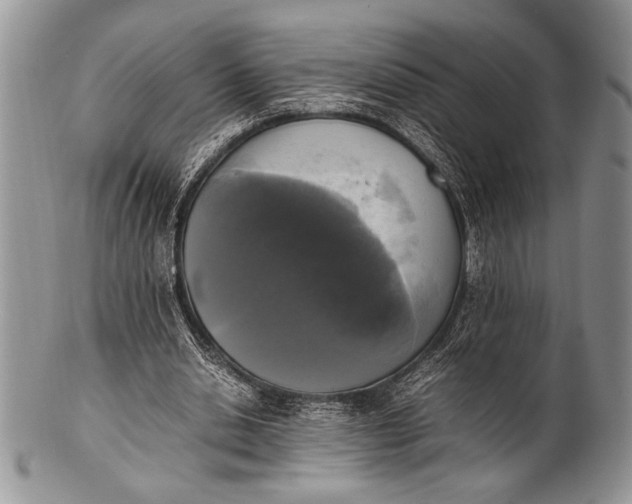 X0000100350438200806201545