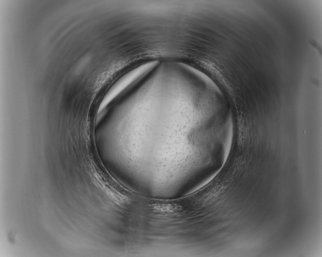 X0000100350439200806201545