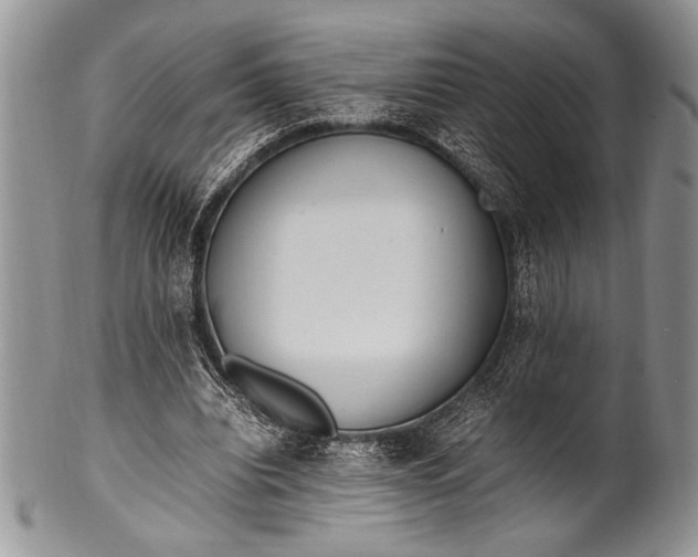 X0000100350440200806201545