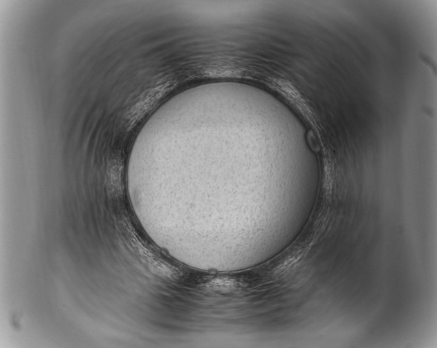 X0000100350441200806201545