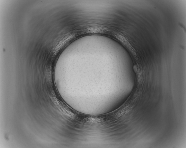 X0000100350442200806201545