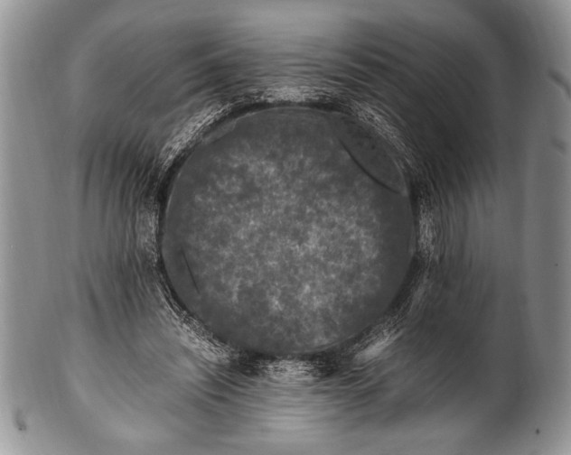 X0000100350444200806201545