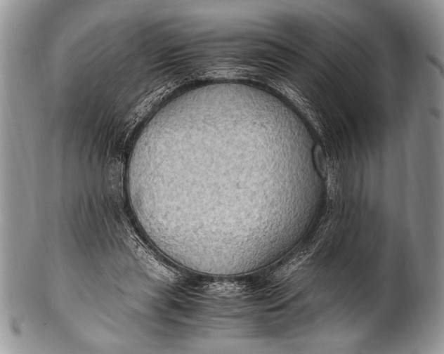 X0000100350445200806201545