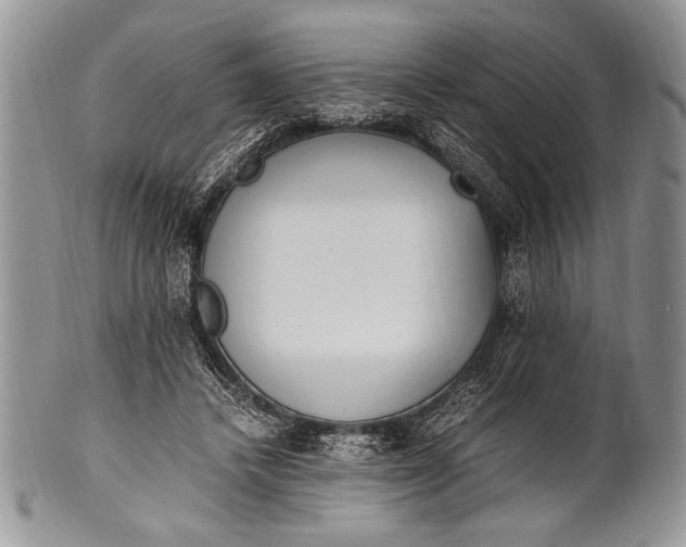 X0000100350448200806201545