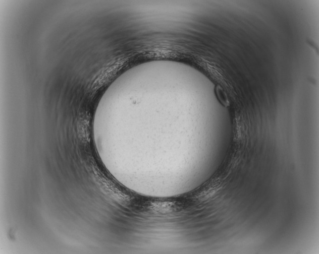 X0000100350450200806201545