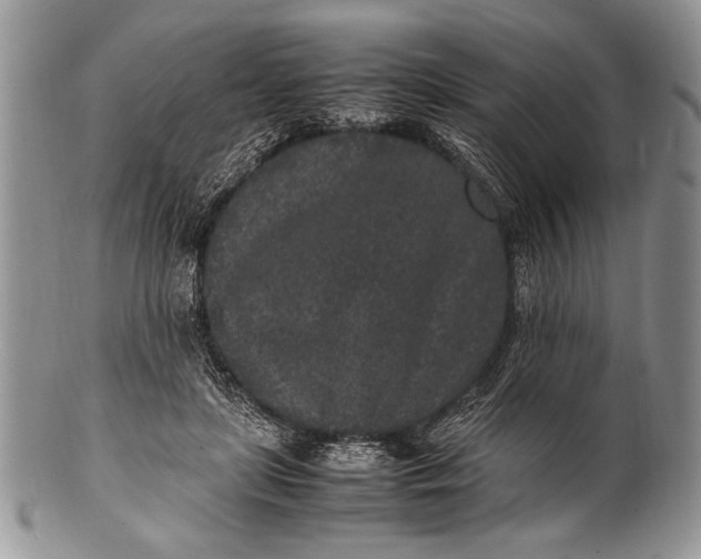 X0000100350451200806201545