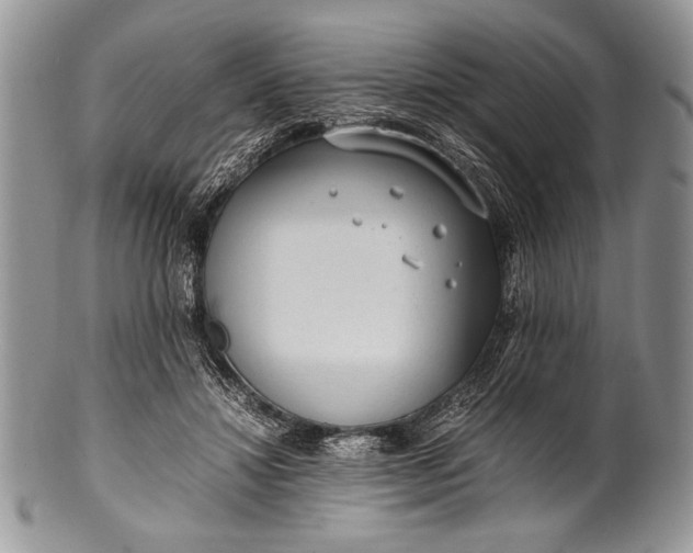 X0000100350452200806201545