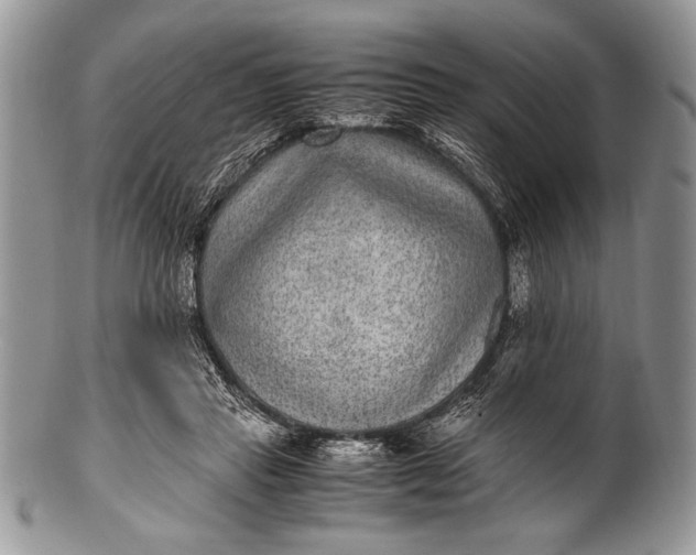 X0000100350453200806201545