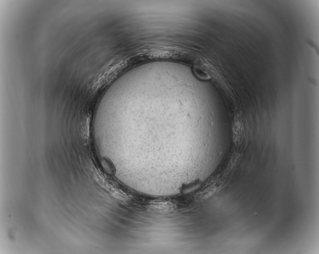 X0000100350454200806201545
