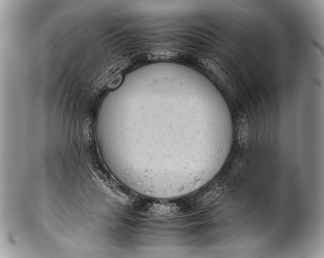 X0000100350455200806201545
