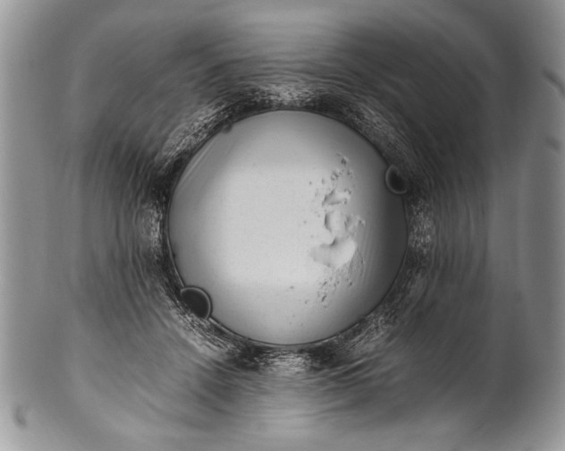 X0000100350456200806201545