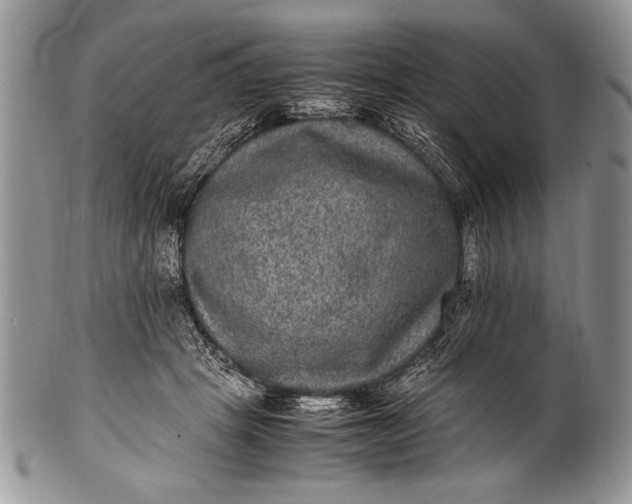X0000100350457200806201545