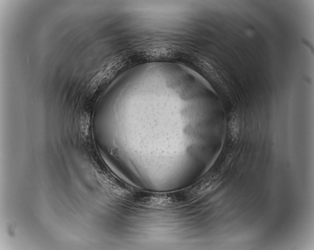 X0000100350458200806201545