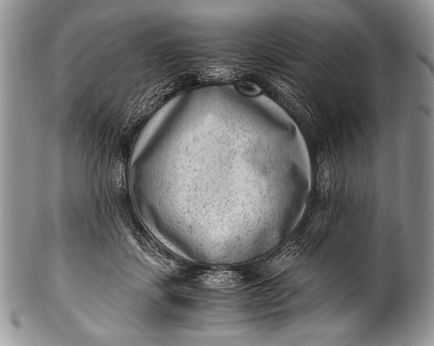 X0000100350459200806201545