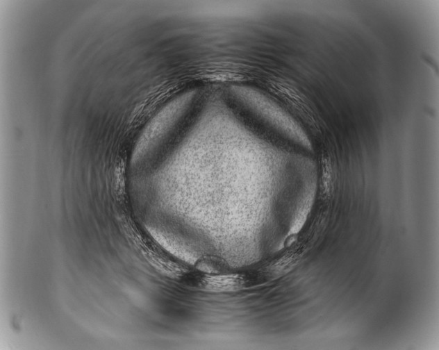 X0000100350461200806201545