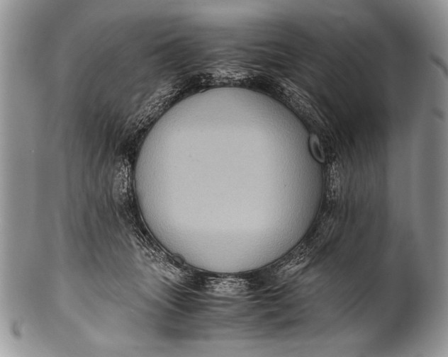 X0000100350463200806201545