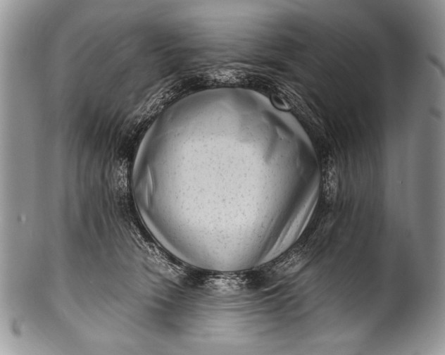 X0000100350466200806201545