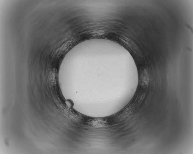 X0000100350468200806201545