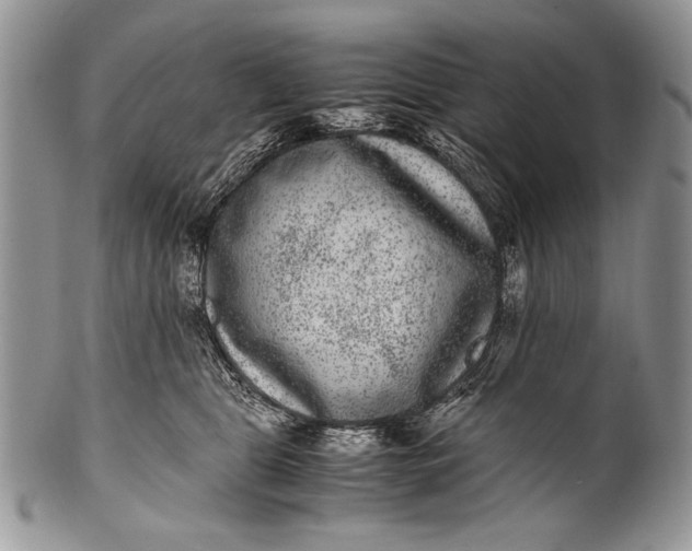 X0000100350469200806201545