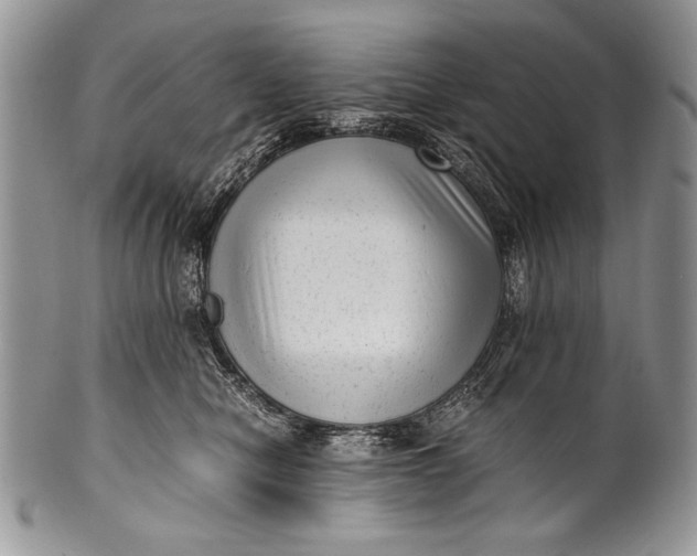 X0000100350470200806201545