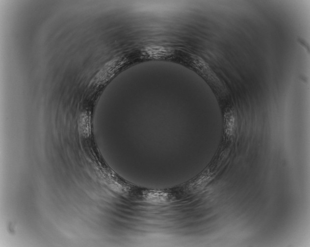X0000100350471200806201545