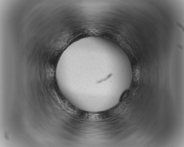 X0000100350472200806201546