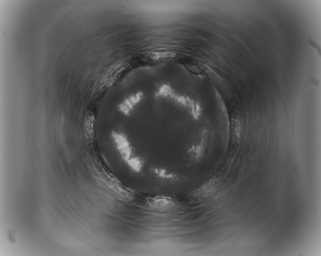 X0000100350475200806201546