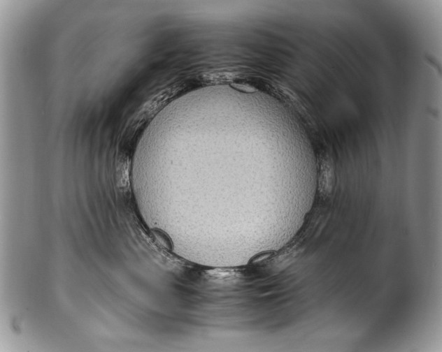 X0000100350477200806201546