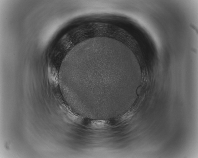 X0000100350479200806201546