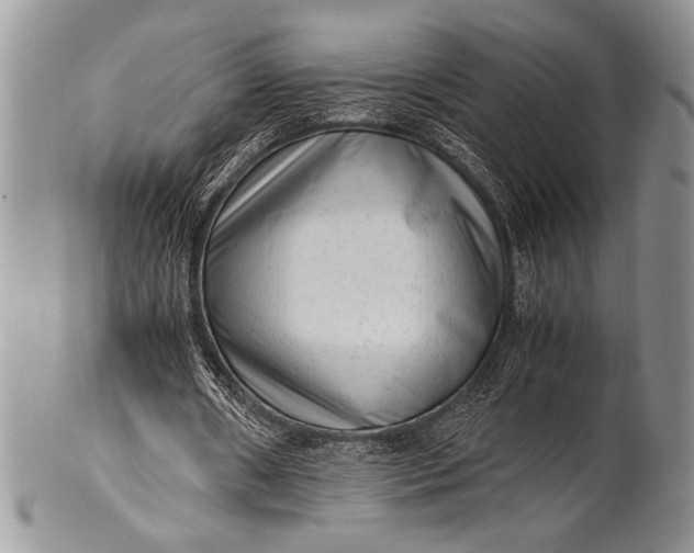 X0000100350482200806201545