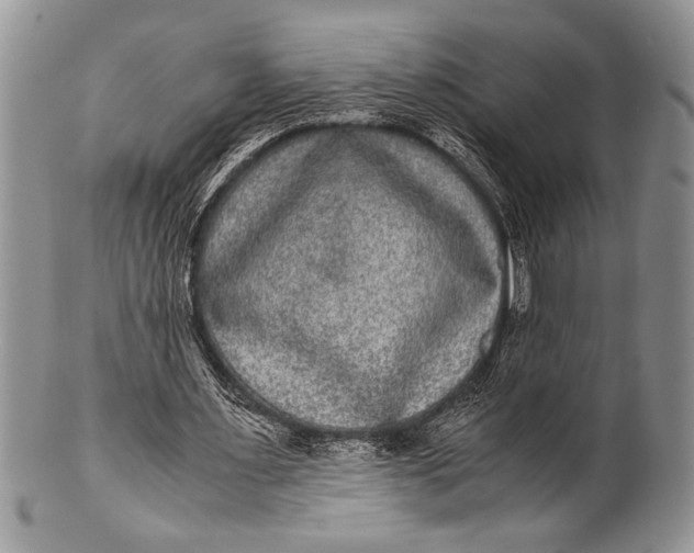 X0000100350483200806201545