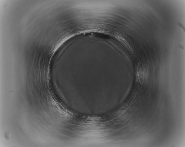 X0000100350484200806201545