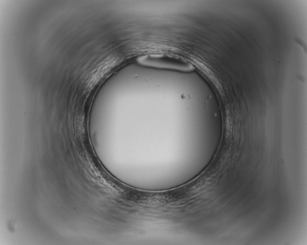 X0000100350485200806201545