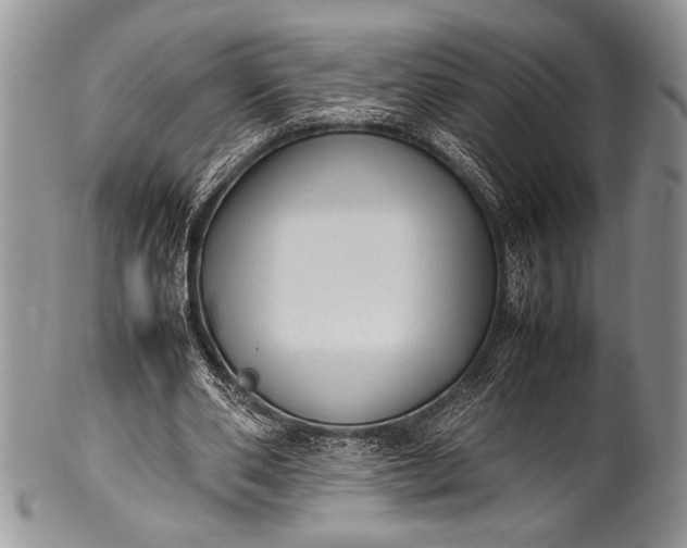 X0000100350486200806201545