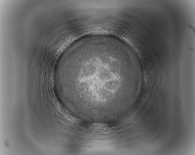 X0000100350487200806201545